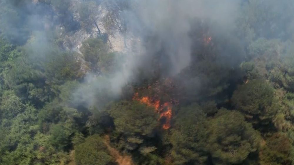 Sultangazi Kent Ormanı'nda yangın: İtfaiye ekipleri alevlere müdahale ediyor