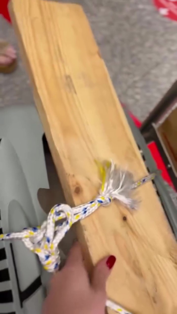 SunExpress’te şok olay Evcil hayvan kafesi kırıldı, köpek kayboldu