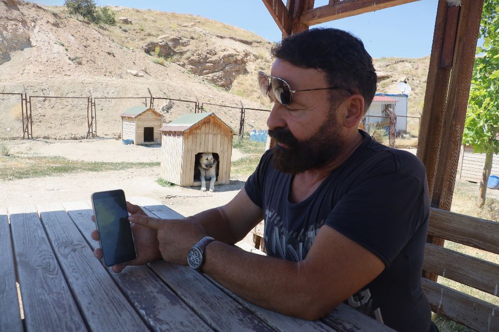 Sürüyü korumak için ağaca tırmandı, 2 metrelik yılanı etkisiz hale getirdi