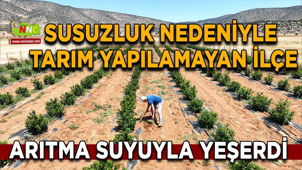 Susuzluk nedeniyle tarım yapılamayan ilçe arıtma suyuyla yeşerdi