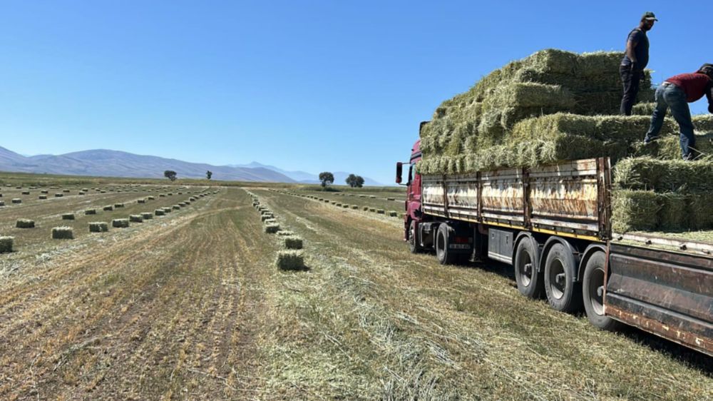 Talas Belediyesi’nden yem desteği