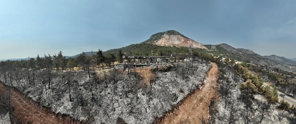 Tarihinin en büyük Gürsu yangınından yürek burkan bu manzaralar kaldı