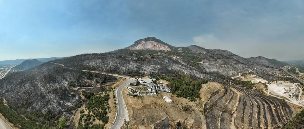 Tarihinin en büyük Gürsu yangınından yürek burkan bu manzaralar kaldı