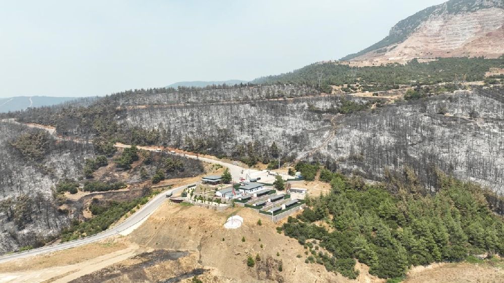 Tarihinin en büyük Gürsu yangınından yürek burkan bu manzaralar kaldı