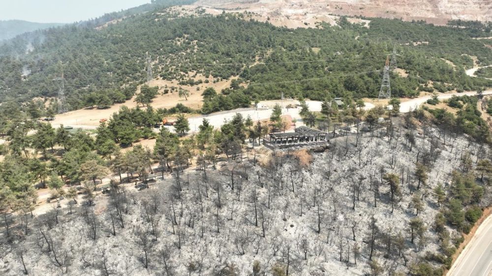Tarihinin en büyük Gürsu yangınından yürek burkan bu manzaralar kaldı