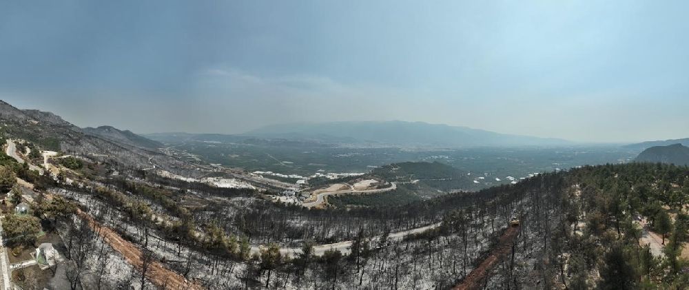 Tarihinin en büyük Gürsu yangınından yürek burkan bu manzaralar kaldı
