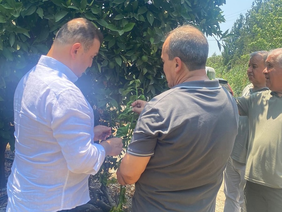 Tarıma yerinde rehberlik üreticilerin sorunları dinlendi, çözüm önerileri sunuldu