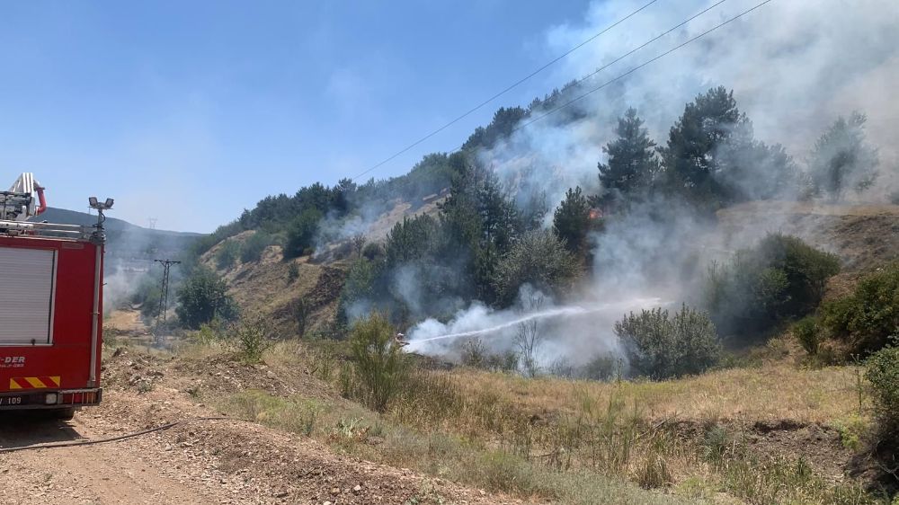 Tavşanlı’da orman yangını erken müdahaleyle söndürüldü