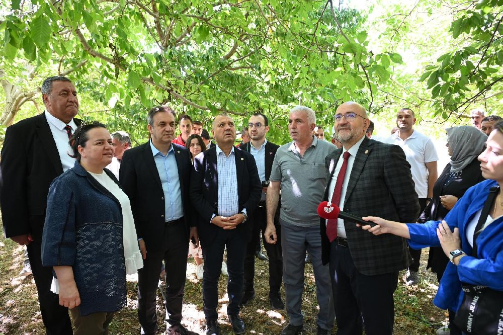 TBMM Zirai Don Araştırma Komisyonu Çivril'de meyve bahçelerini inceledi