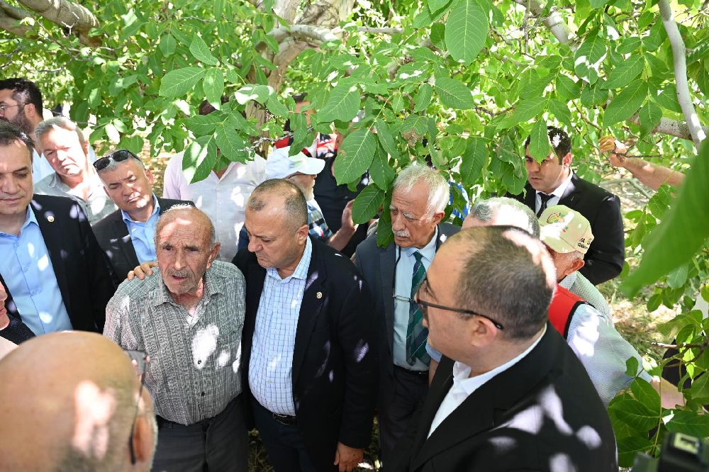 TBMM Zirai Don Araştırma Komisyonu Çivril'de meyve bahçelerini inceledi