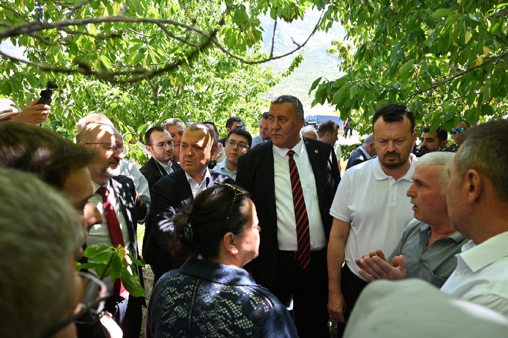 TBMM Zirai Don Araştırma Komisyonu Çivril'de meyve bahçelerini inceledi