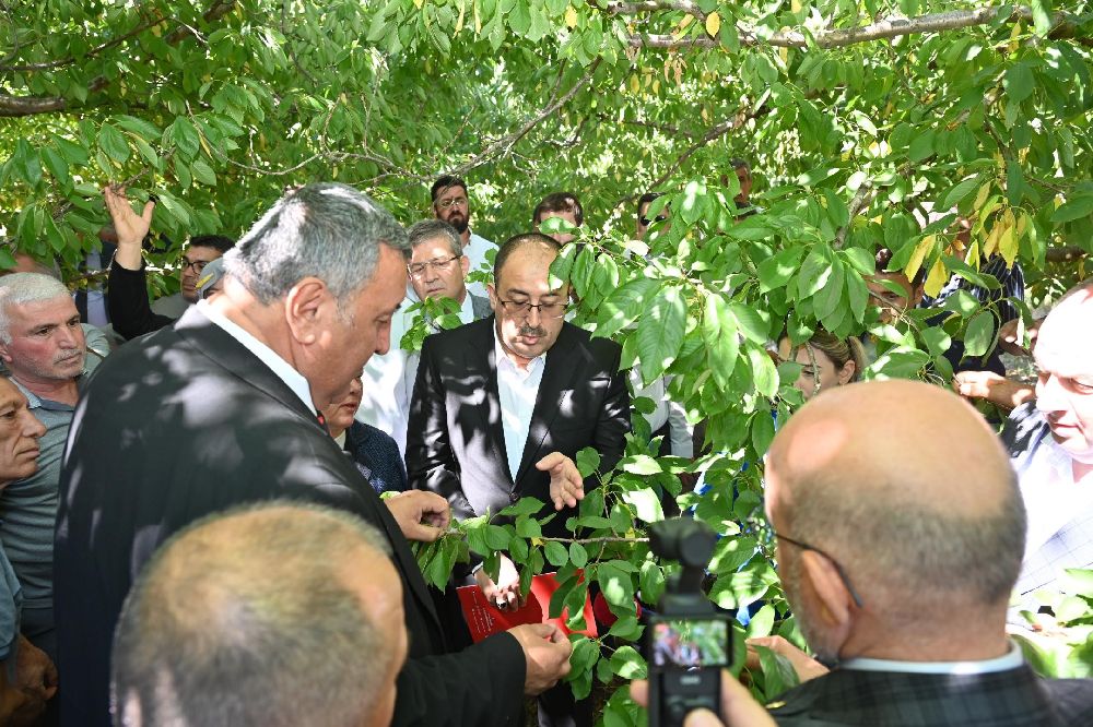 TBMM Zirai Don Araştırma Komisyonu Çivril'de meyve bahçelerini inceledi