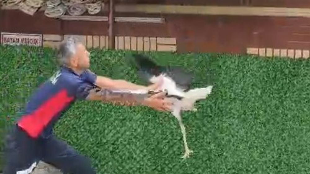 Tek ayaklı leyleği havada yakaladı, itfaiye erinin refleksi leyleğin hayatını kurtardı