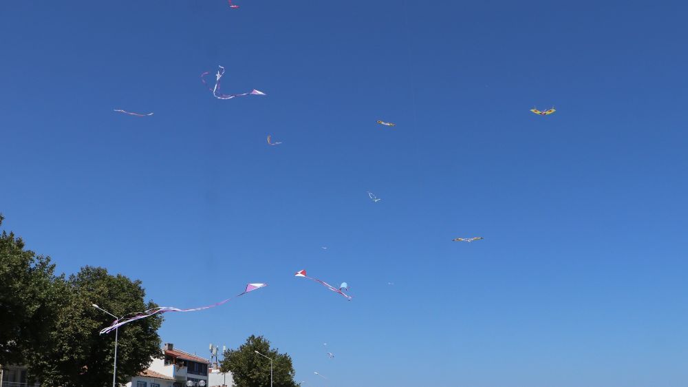 Tekirdağ'da "Uçurtma Festivali" gökyüzünü renklendirdi
