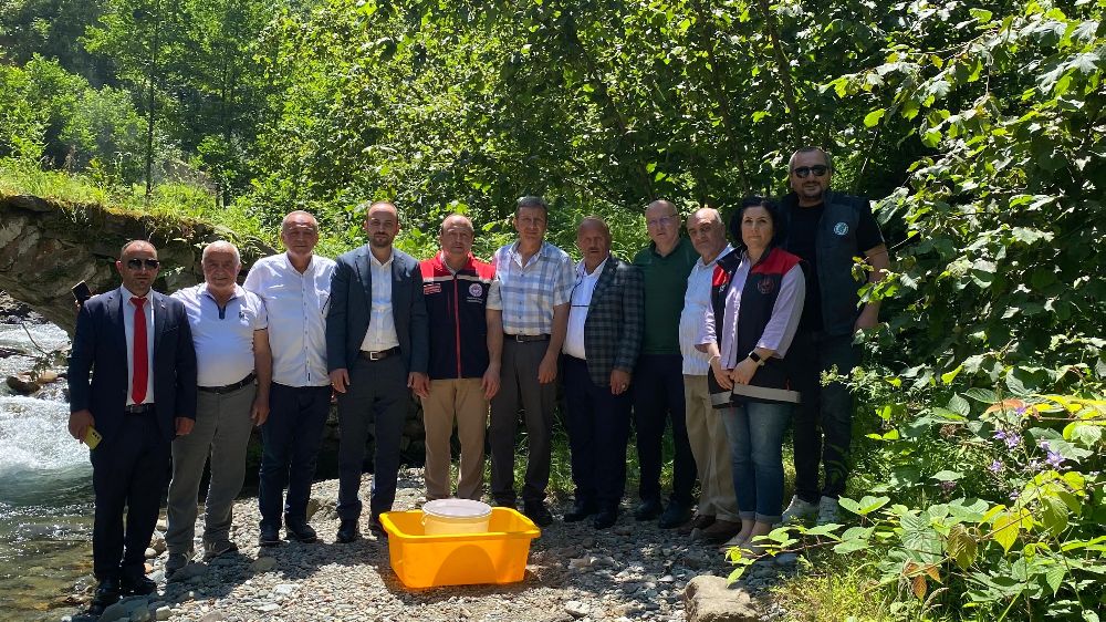 Trabzon'da 15 bin alabalık yavrusu suyla buluşturuldu