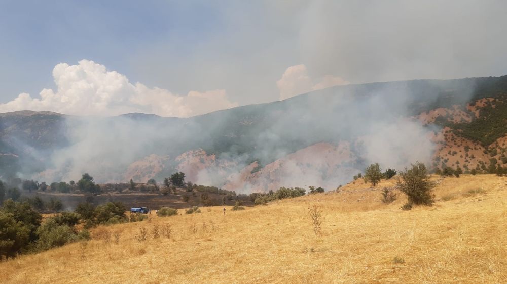 Tunceli’de çıkan yangın büyük ölçüde söndürüldü