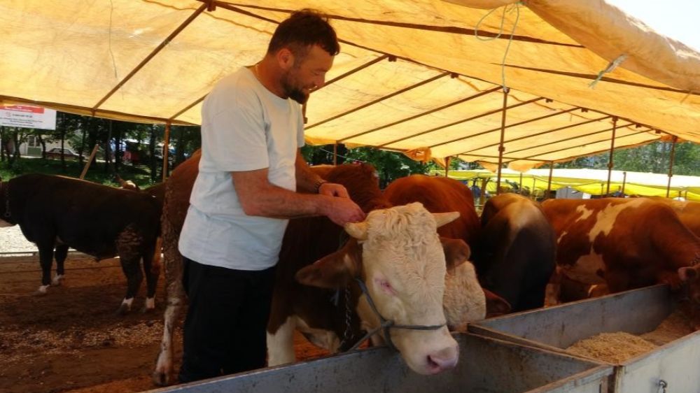 Ülke genelinde tüm hayvan pazarları kapatıldı