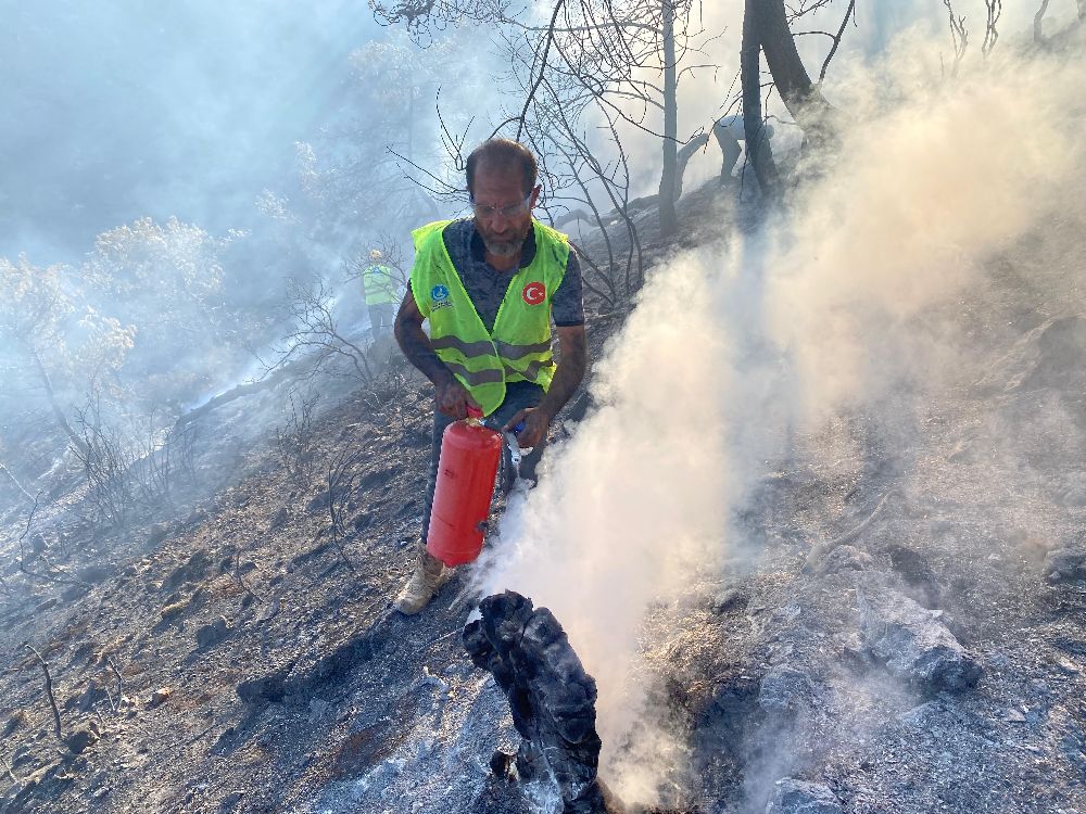 Ülkü Ocakları, Hatay'da yangınla mücadelede vatandaşların yanında oldu