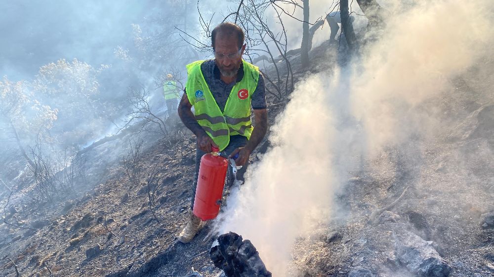 Ülkü Ocakları, Hatay'da yangınla mücadelede vatandaşların yanında oldu