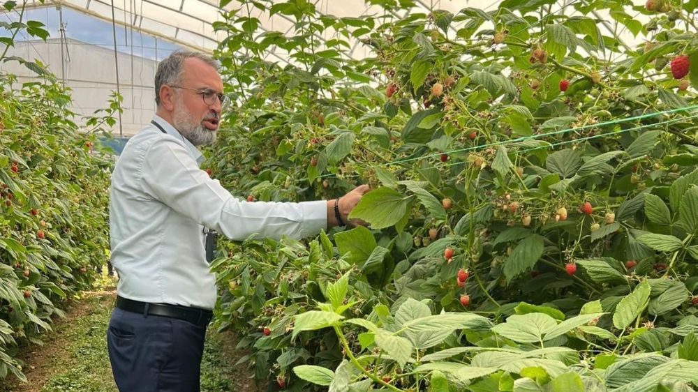 Uludağ'dan Sırbistan'a ahududu üretiminde uluslararası işbirliği adımı