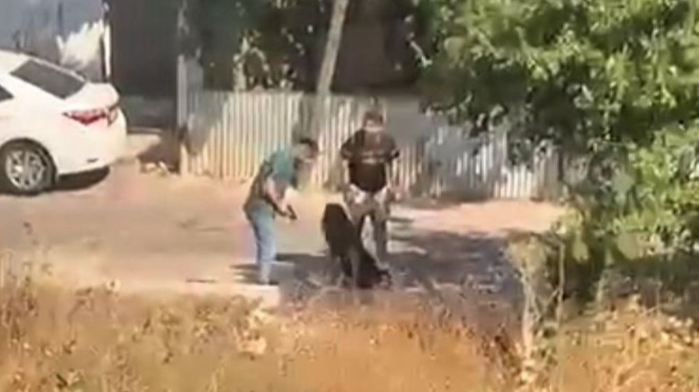 Ümraniye'de eski sevgilisinin başına silah dayayıp darp etti