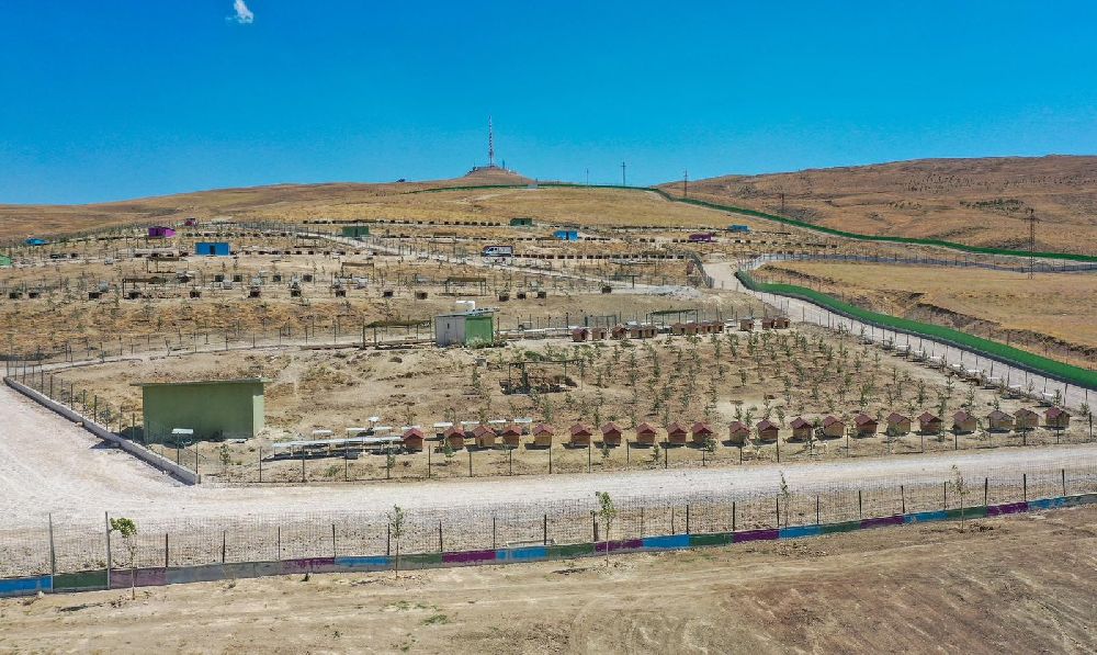 Van Büyükşehir Belediyesi doğal yaşam alanına 20 bin ağaç dikti