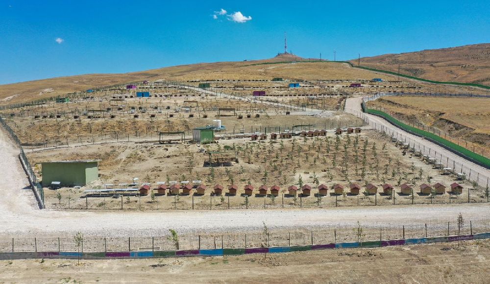 Van Büyükşehir Belediyesi doğal yaşam alanına 20 bin ağaç dikti