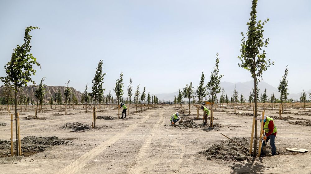 Van Büyükşehir Belediyesi Ihlamur Parkı’yla kente renk katacak