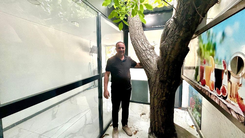  Van’da asırlık ceviz ağacı iş yerinin ortasında yaşatılıyor