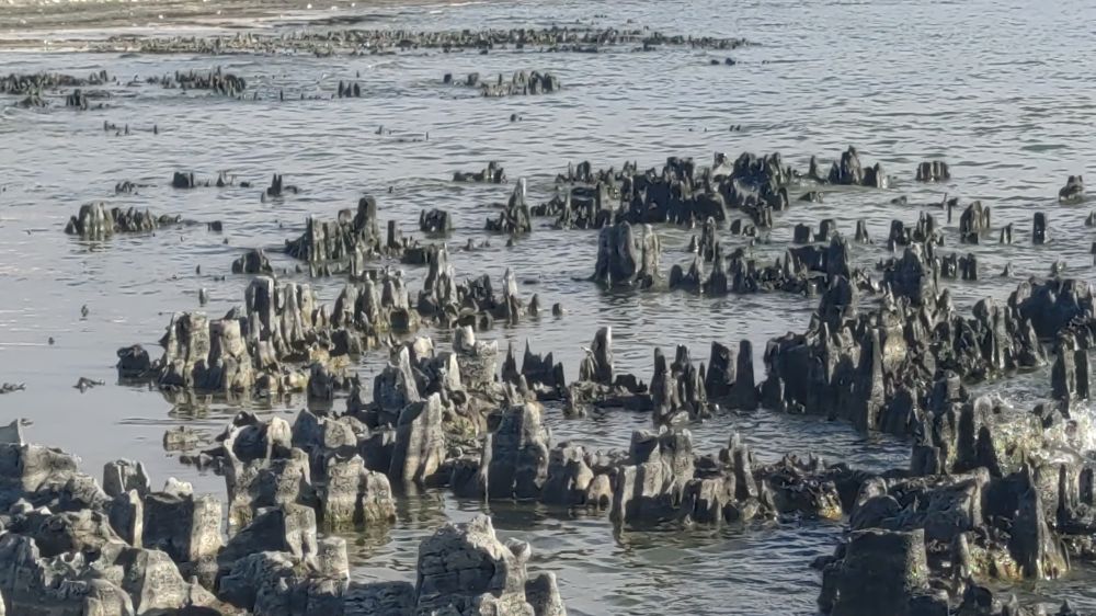 Van Gölü su kaybetmeye devam ediyor