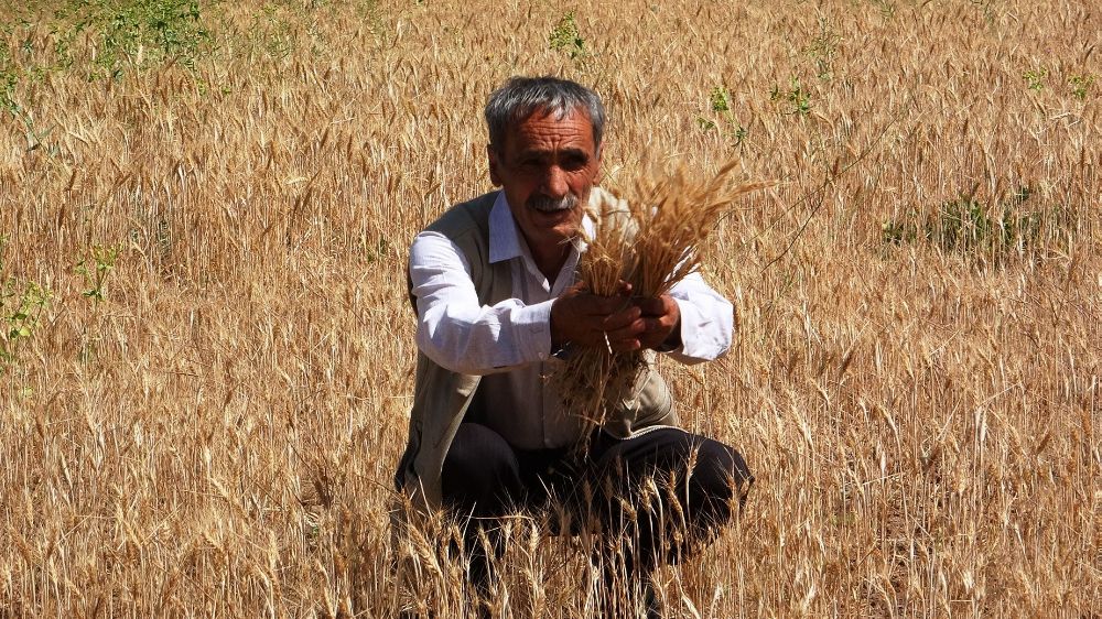 Vanlı çiftçiler sulama göleti istiyor