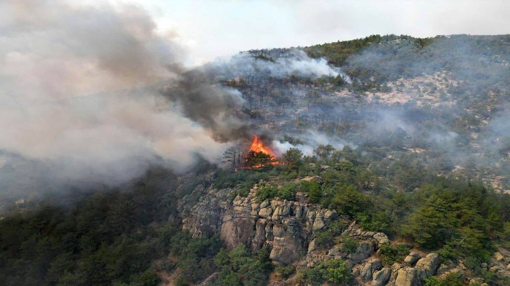 Yangın bölgesi havadan görüntülendi