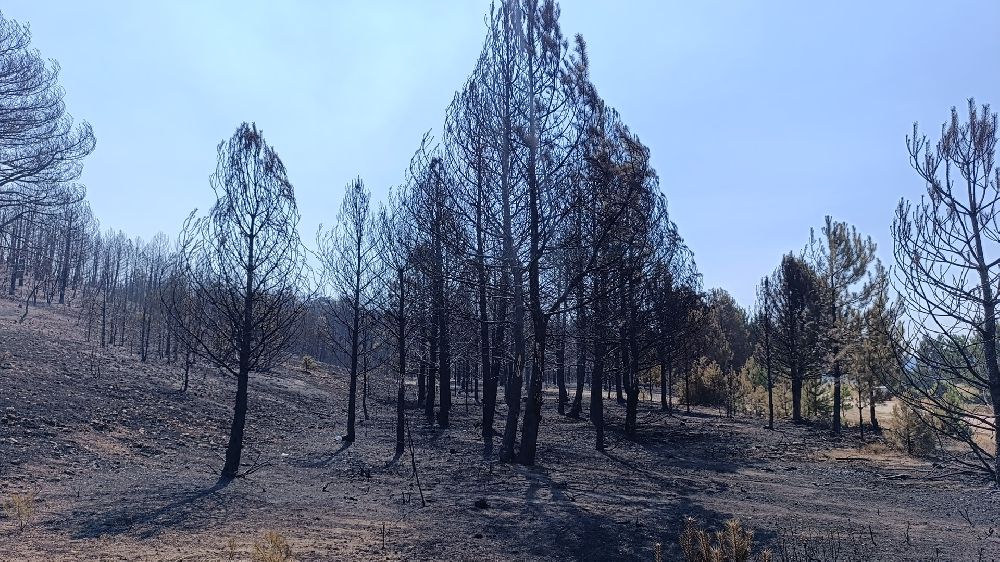 Yangın bölgesi havadan görüntülendi