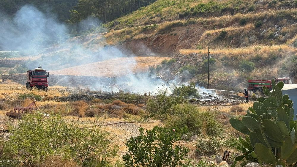Yangın ormana sıçramadan söndürüldü