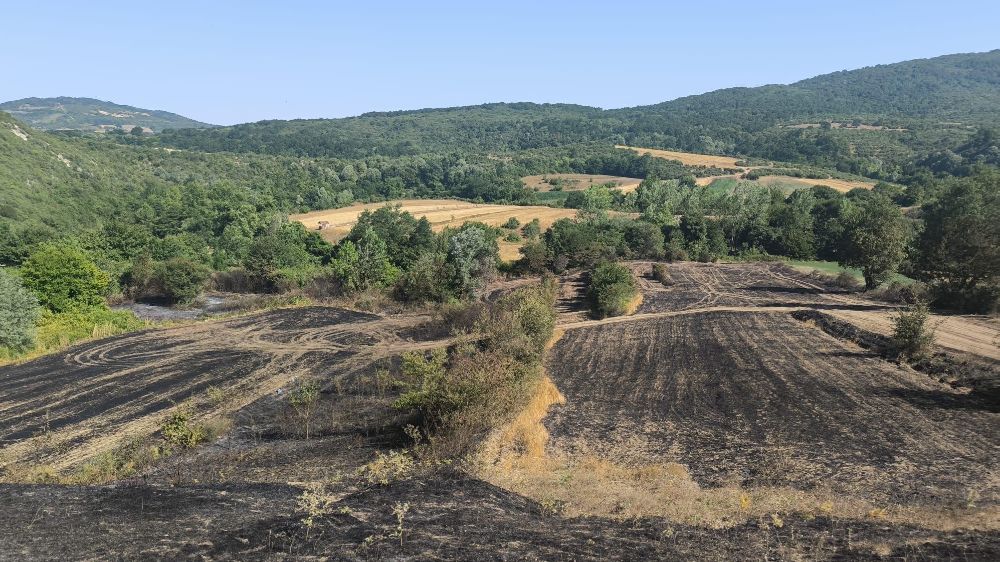 Yangında ekinleri zarar gören çiftçilere gübre ve tohum desteği