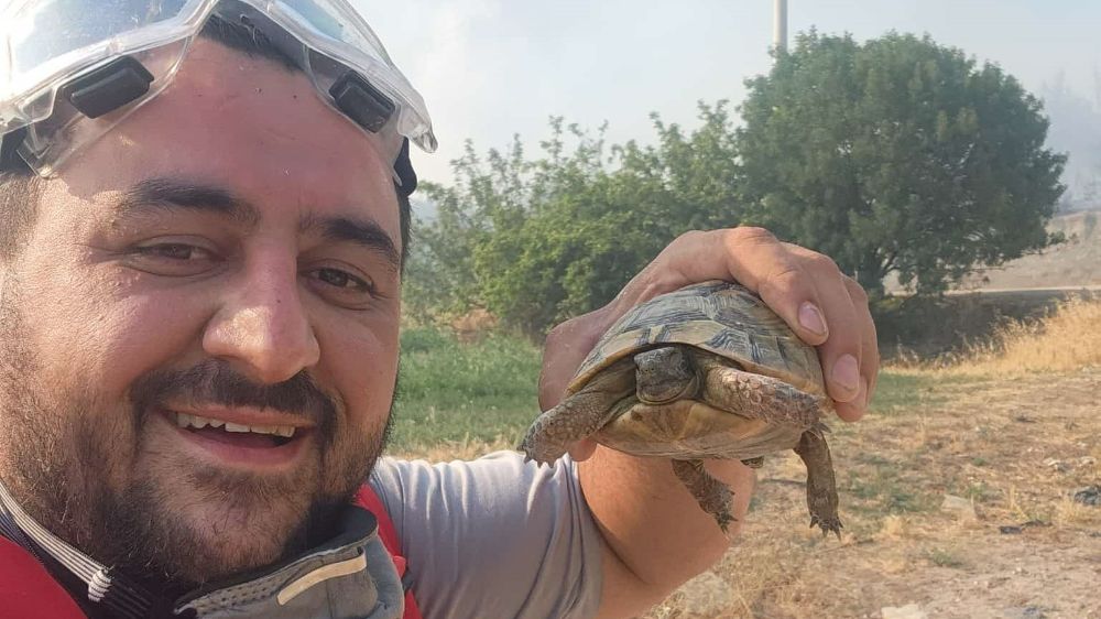 Yangından etkilenen hayvanlara elleriyle su verdiler