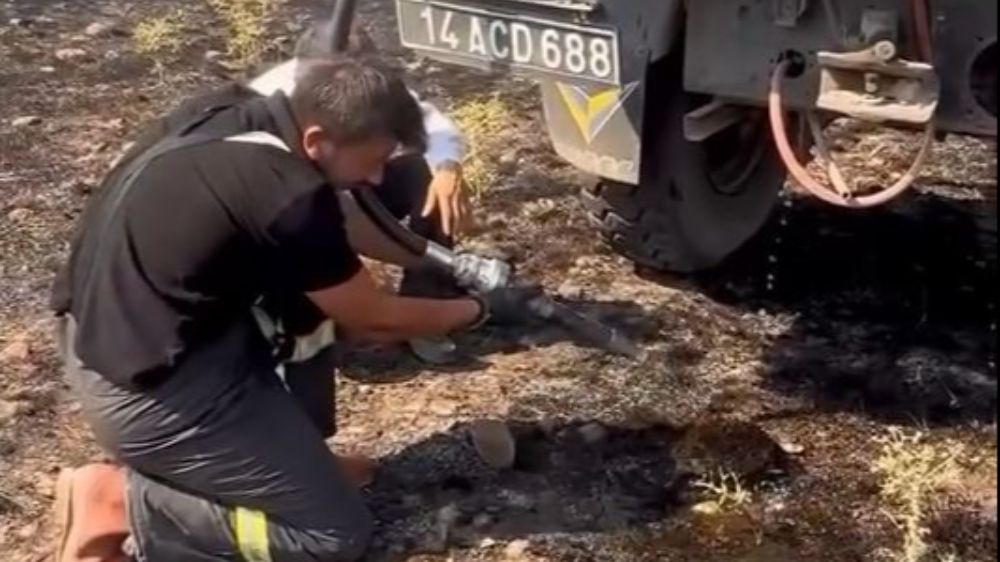  Yangından etkilenen kirpiye elleriyle su verdiler