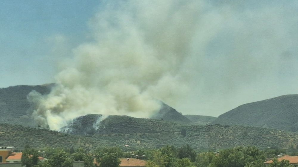 Yangınlar bu defa Selçuk'a sıçradı, alevlere karadan müdahale yapılıyor