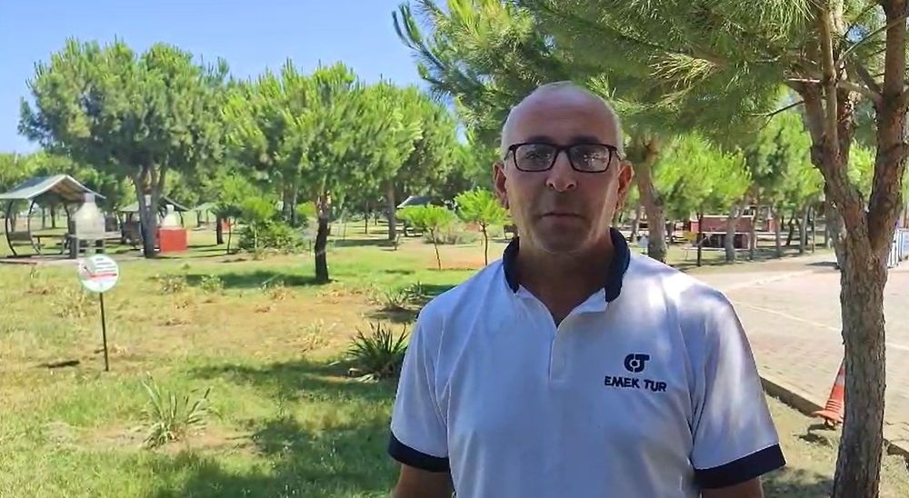 Yaralı karga, havadaki kargalar sayesinde bulundu