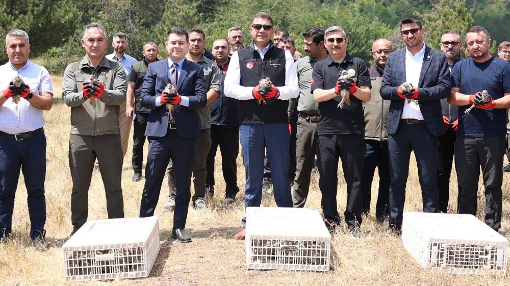Yaylatepe’de 500 keklik doğaya salındı