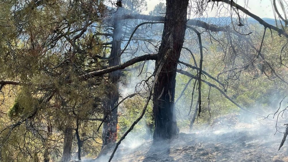 Yıldırım düşmesi sonucu çıkan orman yangını havadan müdahale ile söndürüldü