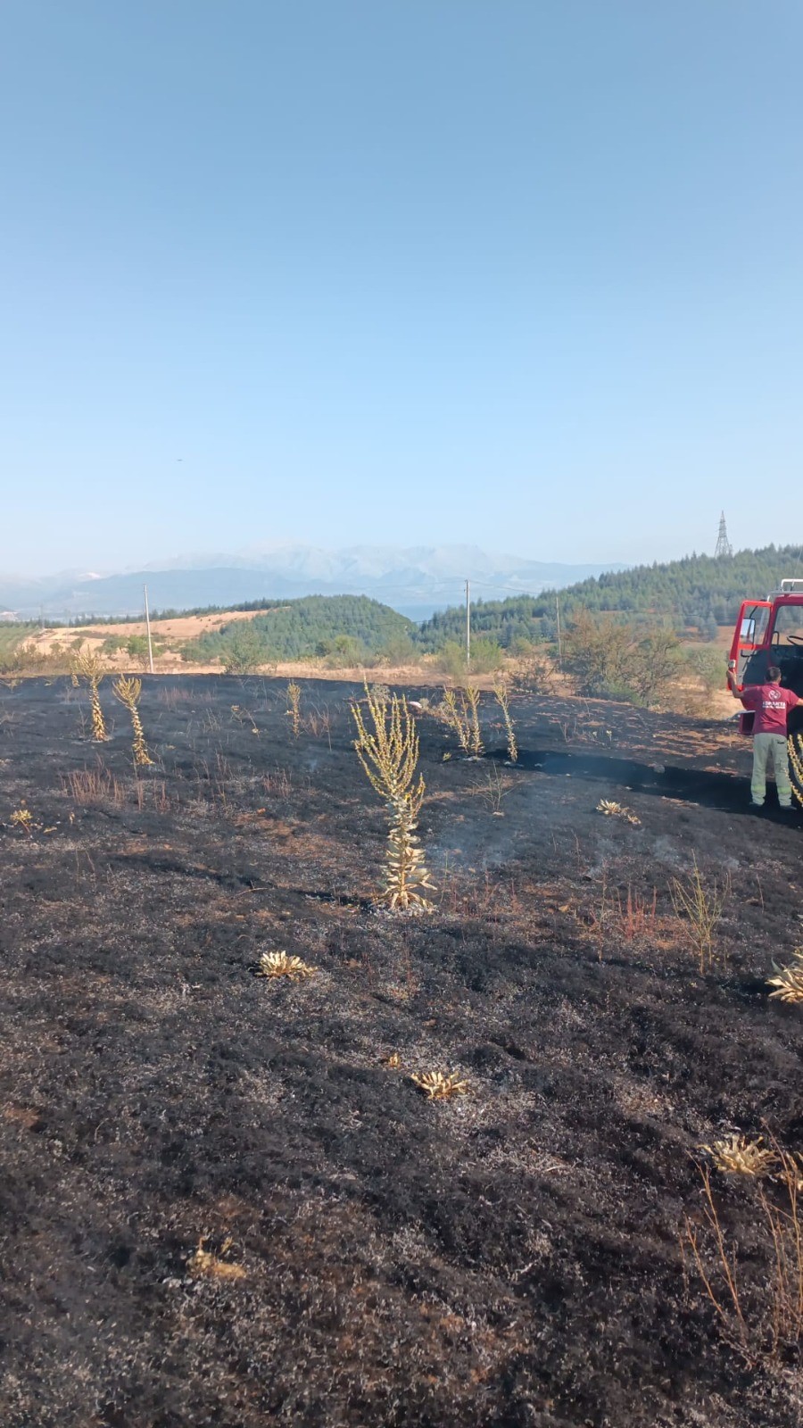 Yüksek gerilim hattına çarpan karga, 2 dönüm alanı kül etti