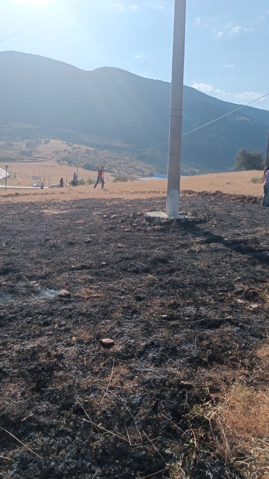 Yüksek gerilim hattına çarpan karga, 2 dönüm alanı kül etti