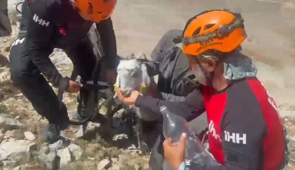 9 gün boyunca mahsur kalan keçiler 5 saatlik operasyonla kurtarıldı