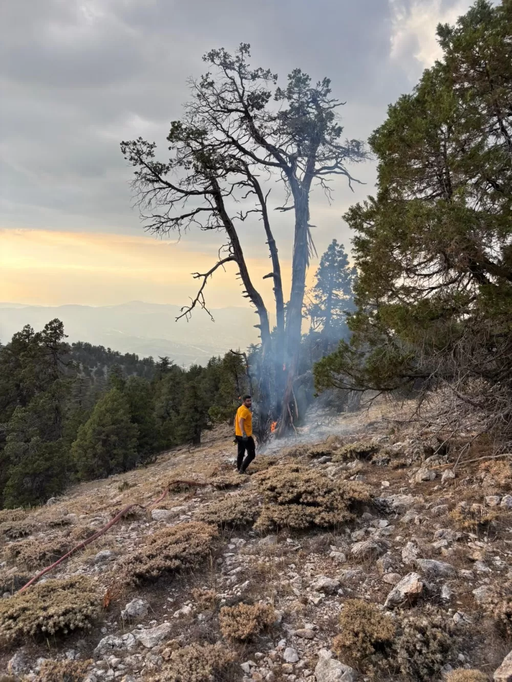 Burdur Gölhisar'da Yıldırım düştü yangın çıktı