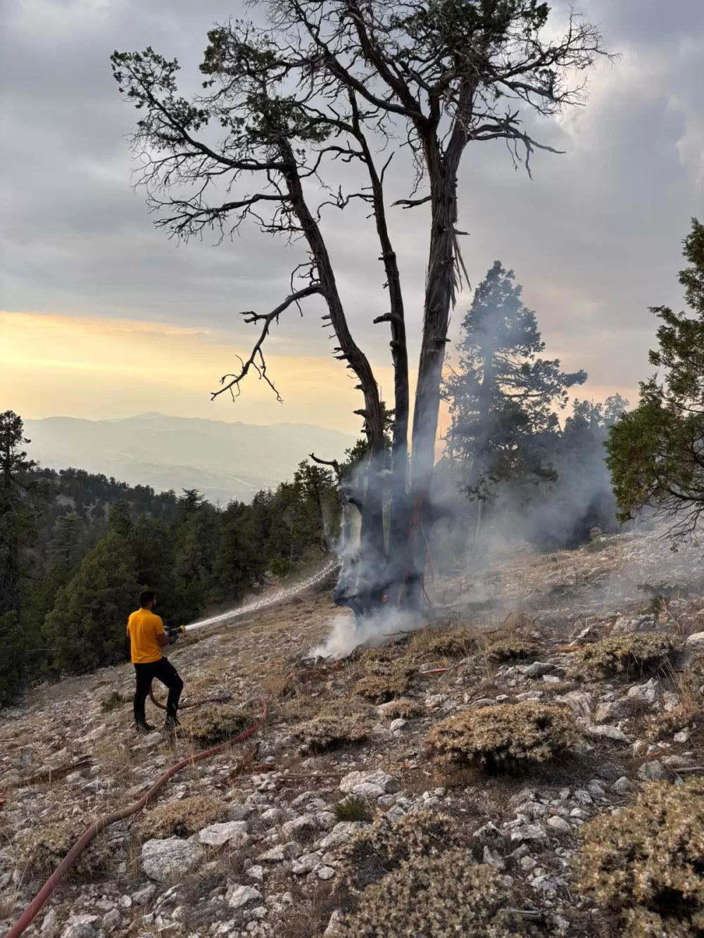 Burdur Gölhisar'da Yıldırım düştü yangın çıktı