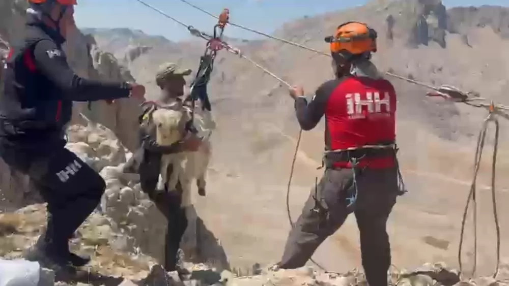9 gün boyunca mahsur kalan keçiler 5 saatlik operasyonla kurtarıldı