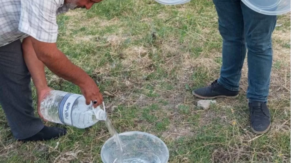 Afyon’da örnek davranış Muhtardan sokak hayvanlarına su desteği