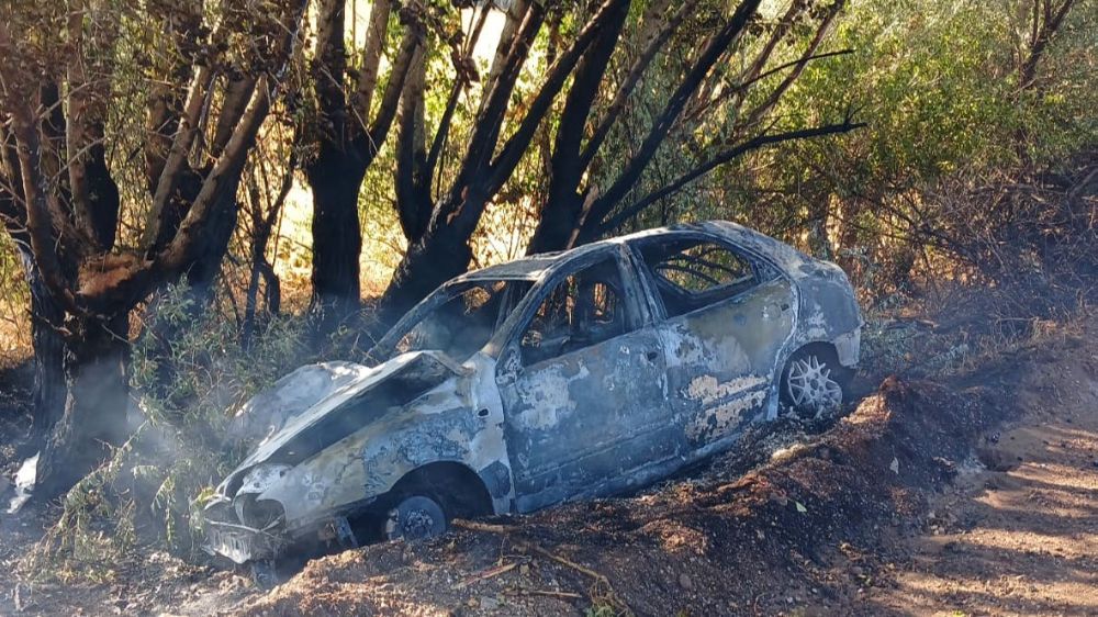 Ankara'da ağaca çarpan otomobil alev aldı: Sürücünün burnu bile kanamadı