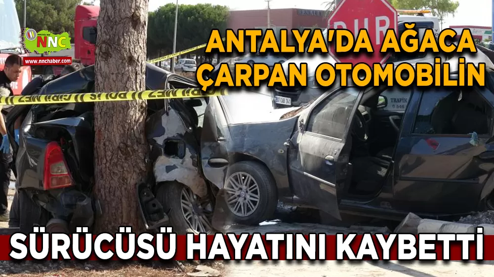 Antalya'da ağaca çarpan otomobilin sürücüsü hayatını kaybetti